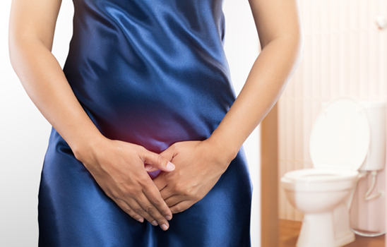 Ürojinekolojiye Genel Bakış